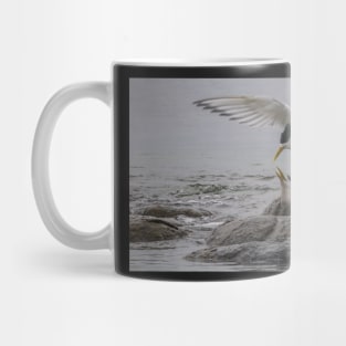 Mating Pair 2 Mug